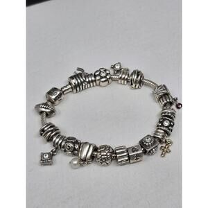 Rare Pandora 14k Sterling 19 Charm Bracelet 7 Lots Retired